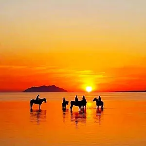 Sunrise Stagnone Marsala